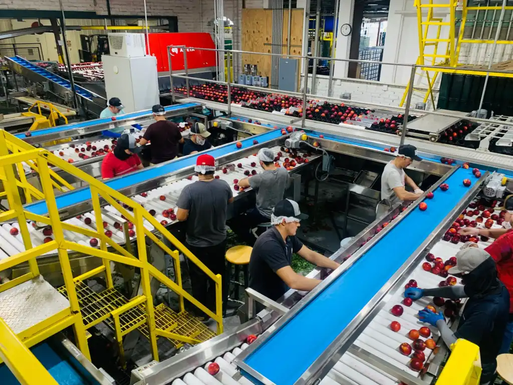 重庆家庭清洁用品批发选购指南：洗护产品规格与适用场景分析