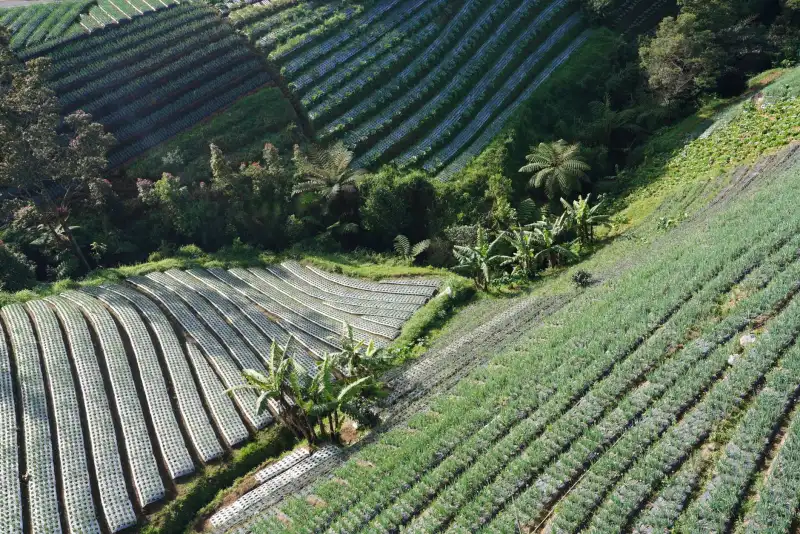 家庭清洁产品配方革新：从传统洗涤剂到环保生物酶技术的应用