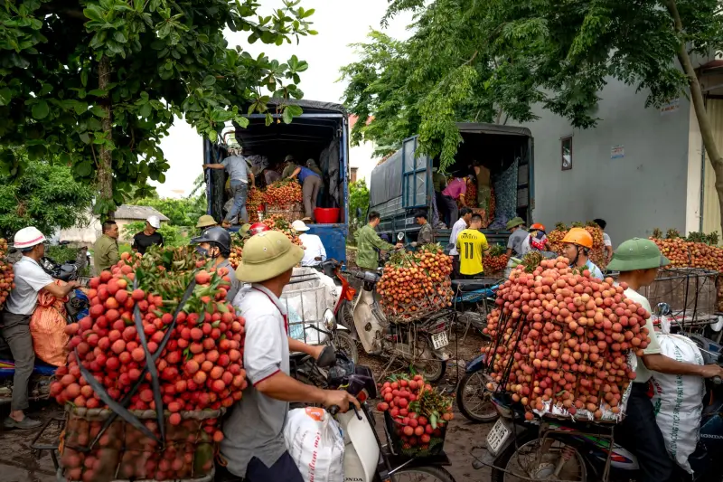 重庆日化百货行业2025年洗护用品技术趋势分析