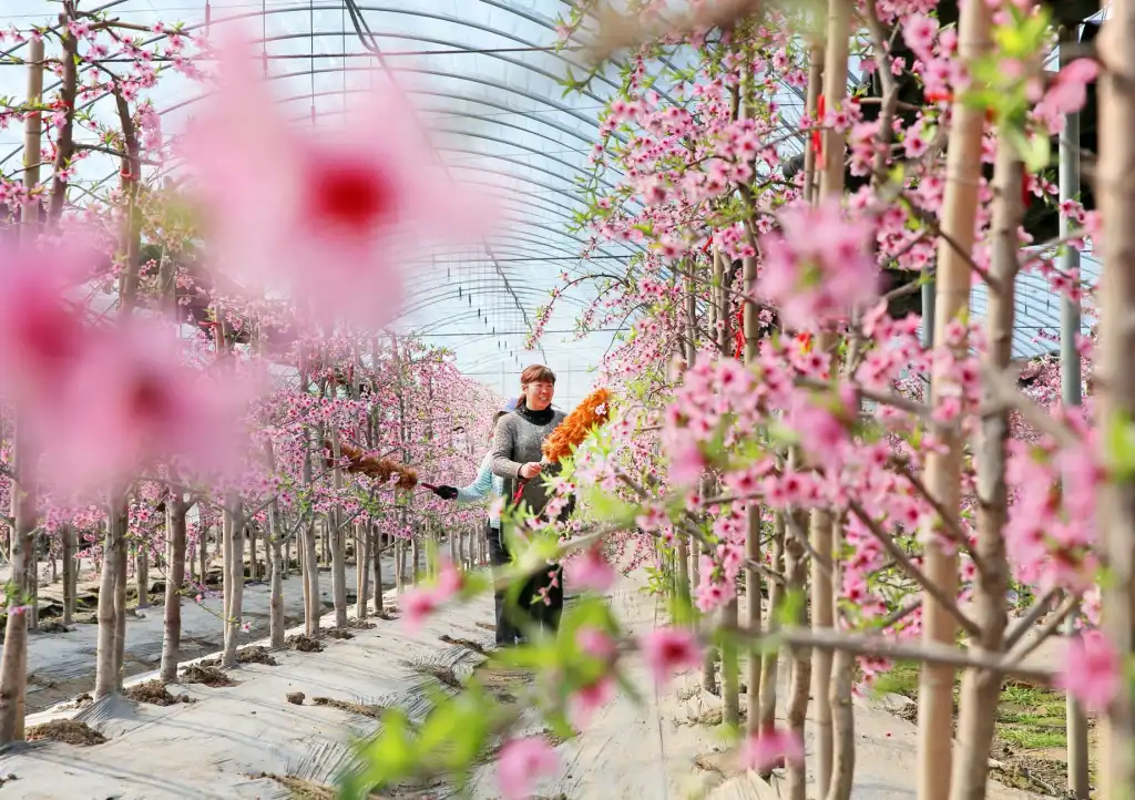 重庆伟芸瑞商贸日化百货批发：洗发水沐浴露的商超供应方案