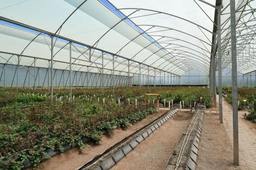 重庆日化百货批发市场观察：洗护用品供应链如何应对消费升级趋势