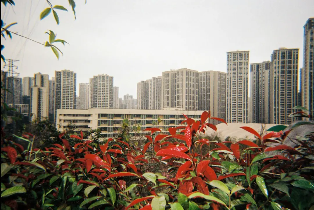 2024年重庆市场洗护用品批发价格走势分析
